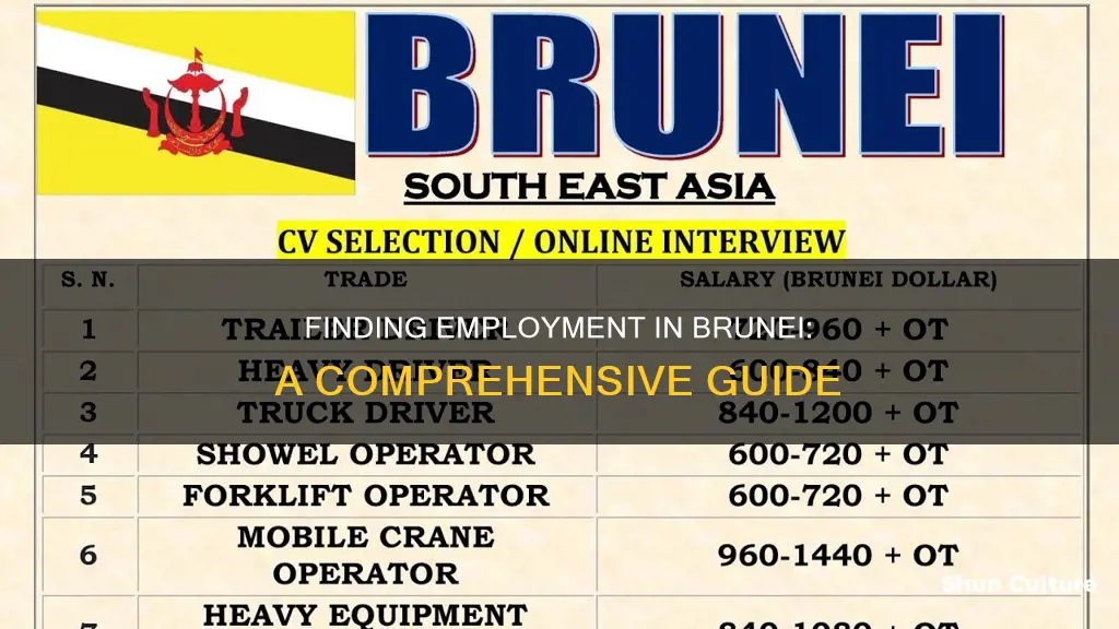 how to find work in brunei