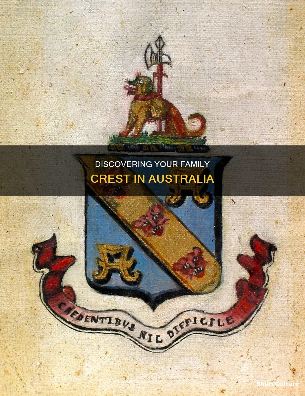 how to find your family crest australia