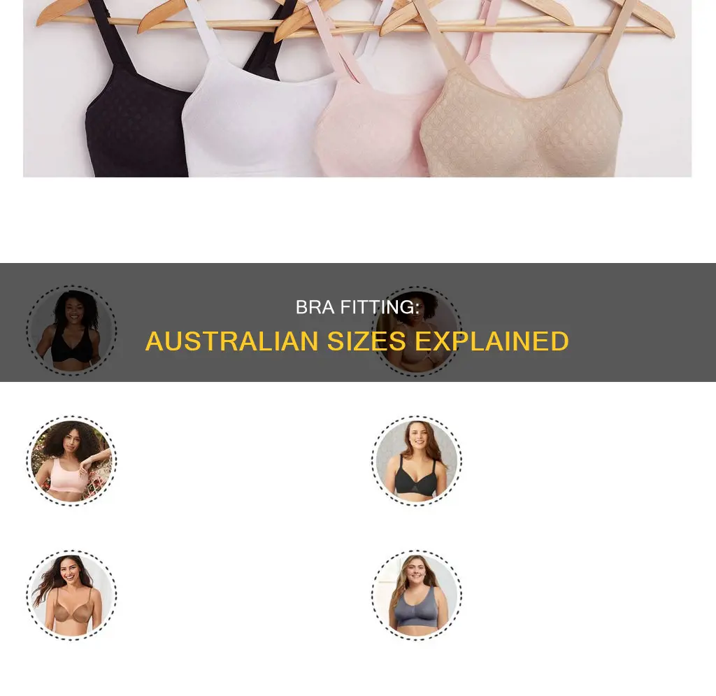 how to fit a bra australian sizes