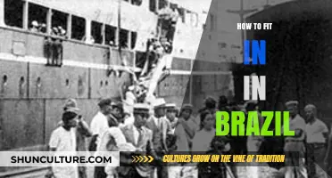 Mastering Brazilian Culture: Tips to Blend In and Connect Locally