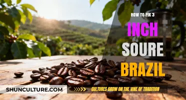 Fixing a 3-Inch Sour Brazil: Step-by-Step Repair Guide