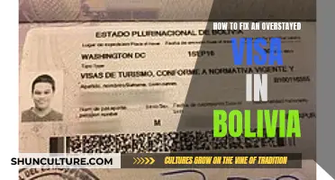 Correcting Overstayed Visas: Navigating Bolivian Immigration Laws