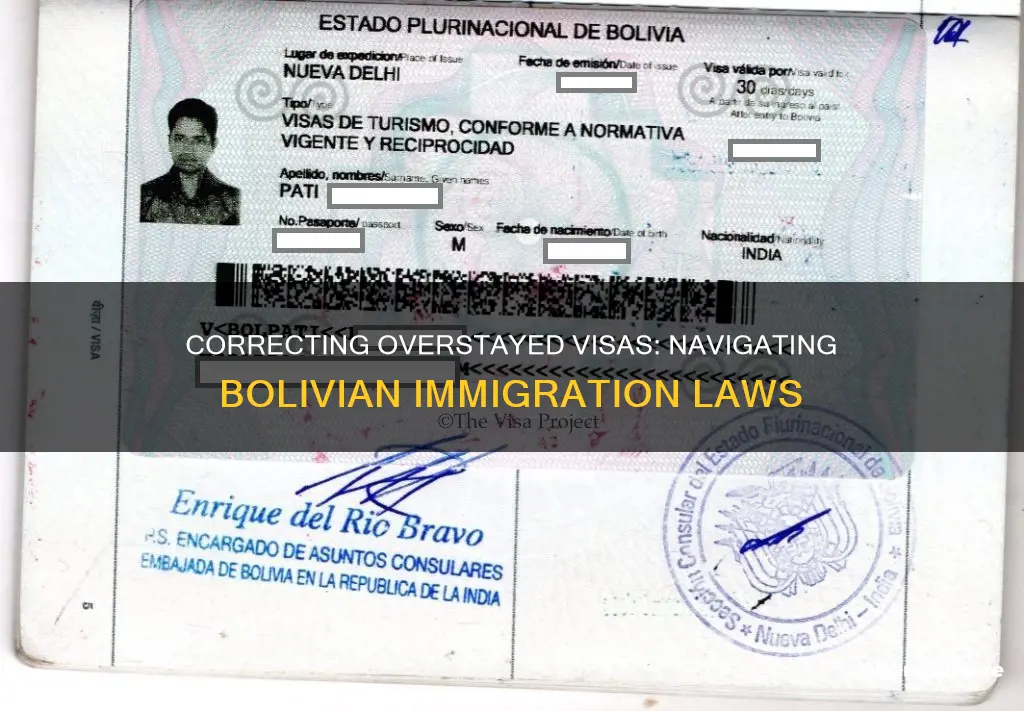 how to fix an overstayed visa in bolivia