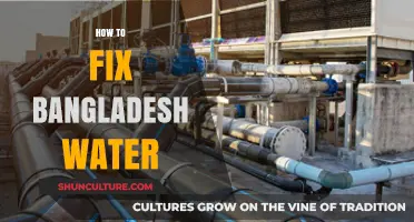 Sustainable Solutions: Fixing Bangladesh's Water Crisis for a Healthier Future
