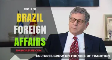Revitalizing Brazil's Global Role: Strategies to Strengthen Foreign Affairs