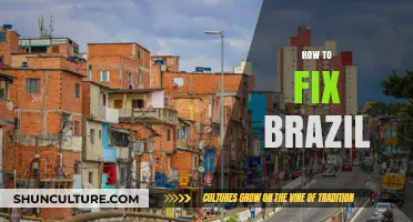 Revitalizing Brazil: Strategies for Economic, Social, and Political Reform