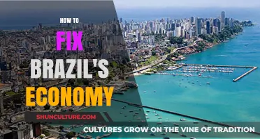 Revitalizing Brazil's Economy: Strategies for Growth, Stability, and Prosperity
