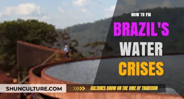 Solving Brazil's Water Crises: Sustainable Strategies for a Thirsty Nation