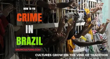 Tackling Brazil's Crime Crisis: Effective Strategies for a Safer Nation