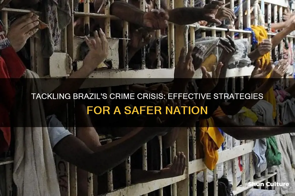 how to fix crime in brazil