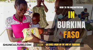 Combating Malnutrition in Burkina Faso: A Comprehensive Guide