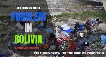 Solving Water Crisis in Bolivia: Strategies for Success