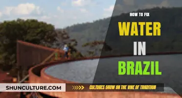 Solving Brazil's Water Crisis: Practical Steps for a Sustainable Future