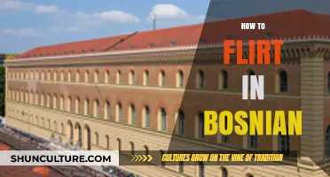 Mastering Bosnian Charm: Flirting Tips for Cultural Connections