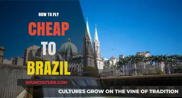 Budget-Friendly Tips for Affordable Flights to Brazil