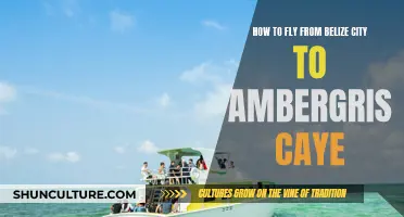 Traveling to Ambergris Caye: Flying from Belize City