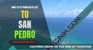 Belize City to San Pedro: A Quick Flight Guide