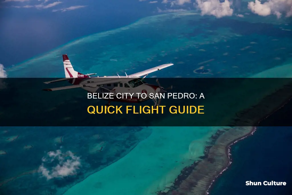 how to fly from belize city to san pedro