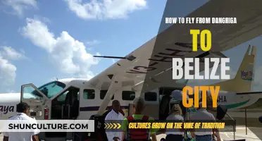 Travel Guide: Flying from Dangriga to Belize City