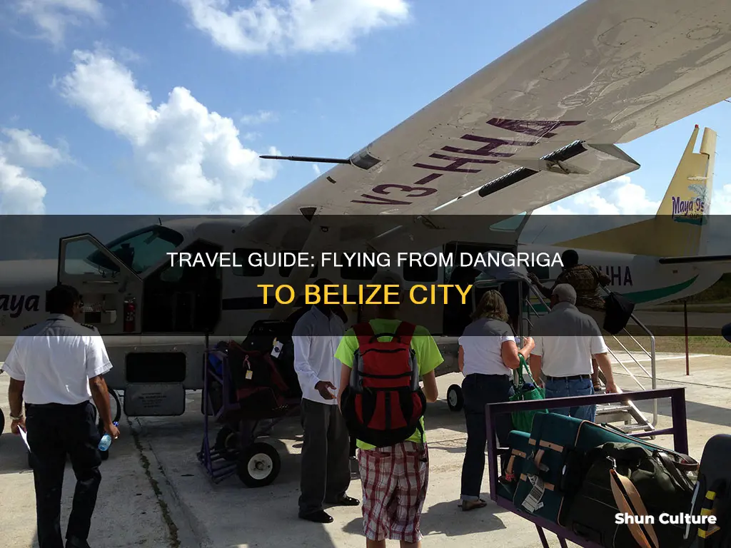 how to fly from dangriga to belize city