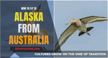 Exploring Alaska: An Australian's Guide to the Journey