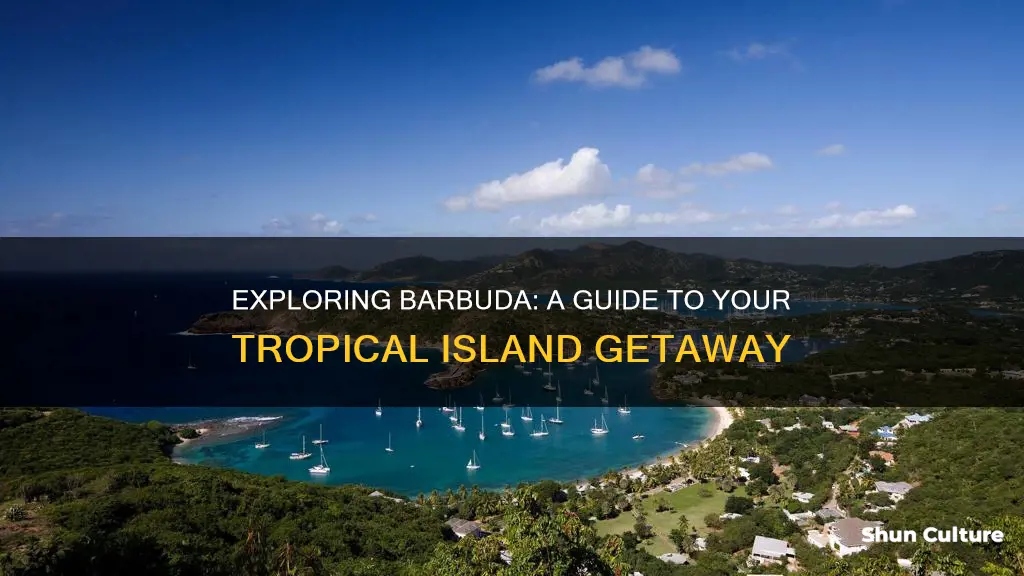 how to fly to barbuda