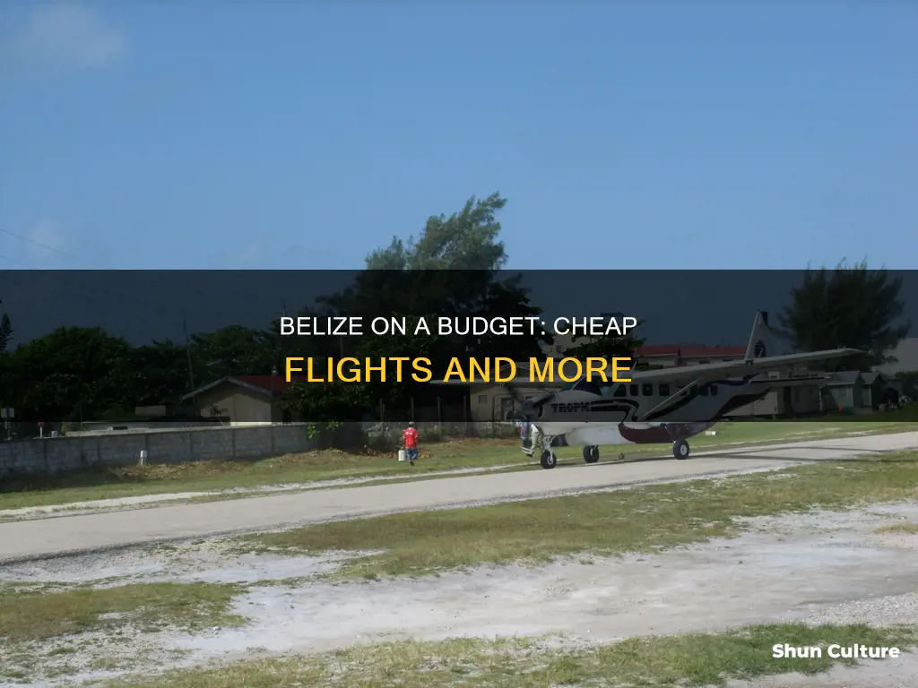 how to fly to belize cheap