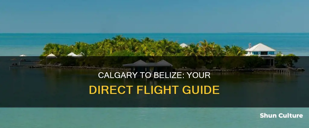 how to fly to belize from calgary