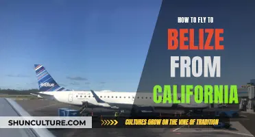 The Ultimate Guide to Flying California to Belize