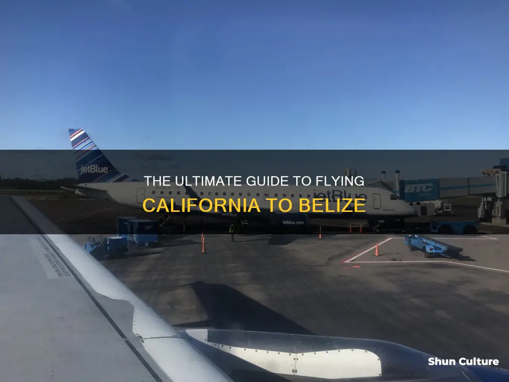 how to fly to belize from california