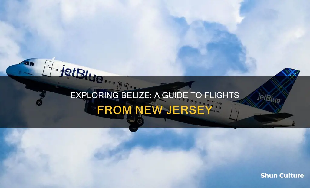 how to fly to belize from new jersey