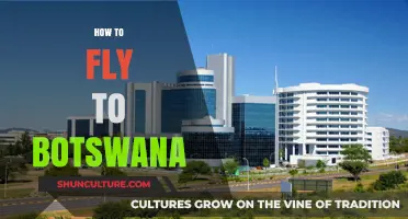 Your Ultimate Guide to Flying to Botswana: Tips and Routes