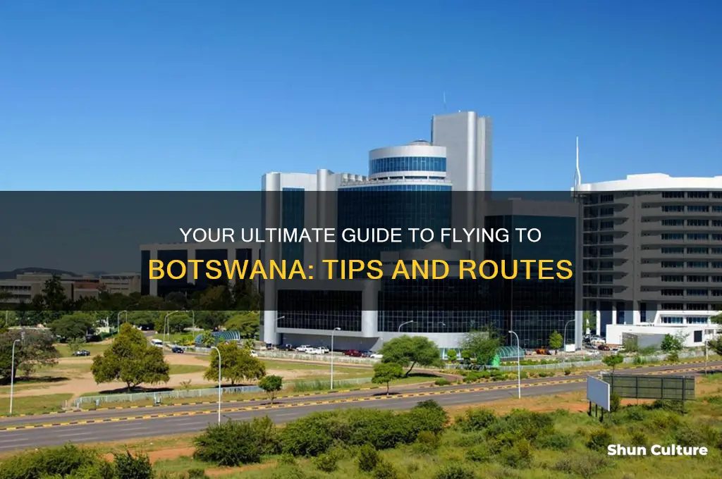 how to fly to botswana