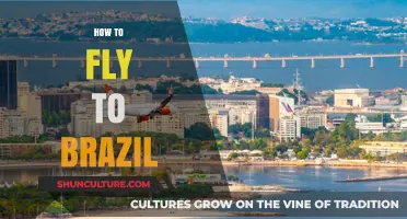 Your Ultimate Guide to Flying to Brazil: Tips and Tricks