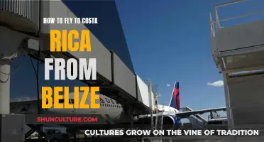 Travel Guide: Belize to Costa Rica by Air