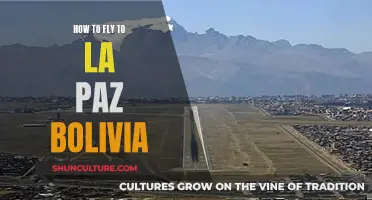 Travel Guide: Flying to La Paz, Bolivia