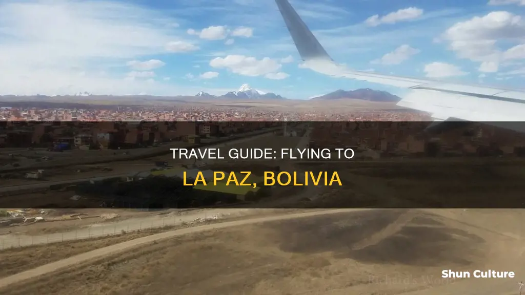 how to fly to la paz bolivia