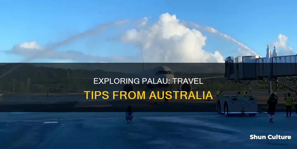 how to fly to palau from australia