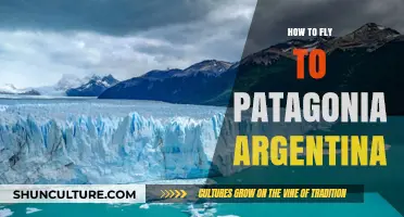 Exploring Patagonia: Your Ultimate Guide to Flying to Argentina's Wilderness