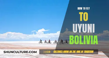 A Direct Route to Uyuni, Bolivia: Travel Tips