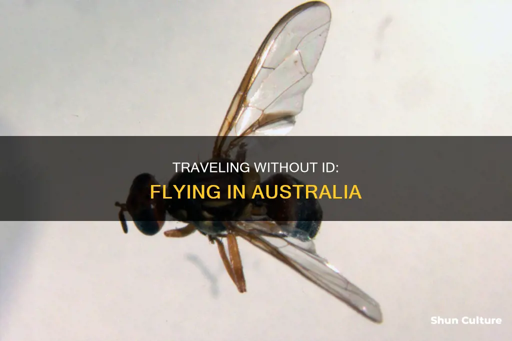 how to fly without id australia