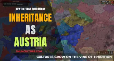 Burgundian Legacy: Austria's Strategic Move to Claim Inheritance