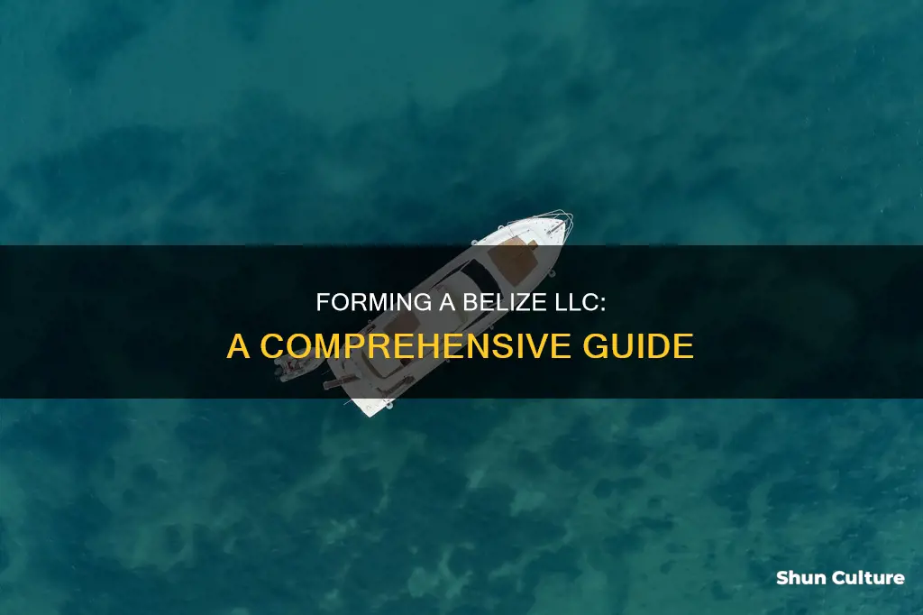 how to form a belize llc