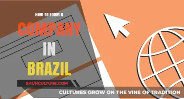 Step-by-Step Guide to Establishing Your Business in Brazil