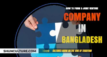 A Comprehensive Guide to Forming Joint Venture Companies in Bangladesh