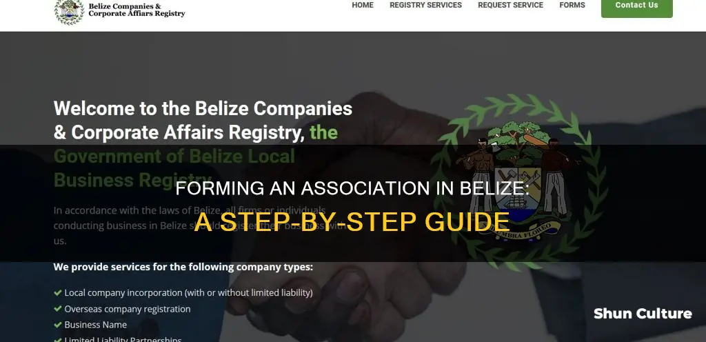 how to form an association in belize