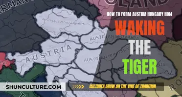 Austria-Hungary in HOI4: Strategies for Waking the Tiger