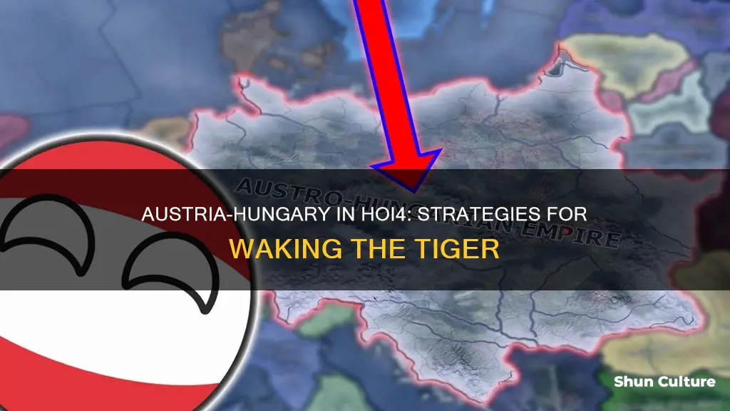 how to form austria hungary hoi4 waking the tiger