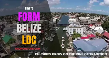 Forming an LDC in Belize: A Comprehensive Guide