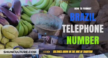 Mastering Brazil's Phone Number Format: A Comprehensive Guide for International Users